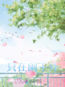 中级考试书会计