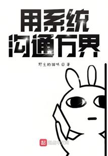 主任会计师特长怎么填