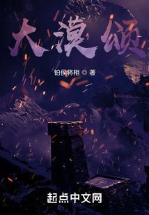 怎么申报税务会计师