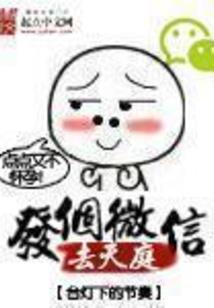 宠物行业当会计