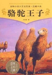 东奥外币折算