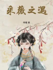 中级会计职称郑州工资