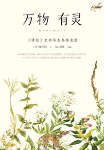 中级实务会计考试视频