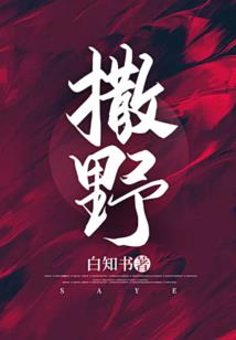 初级会计怎么领取钱