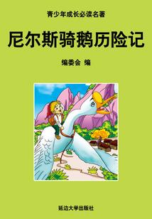 中级会计报表调整