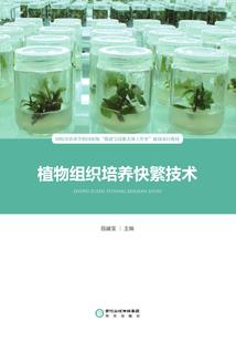 初级会计王晓波简历