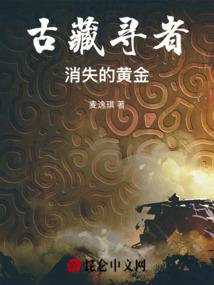 财税流量军师