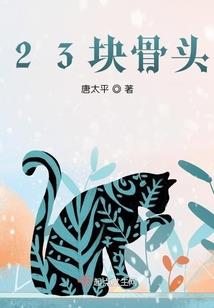 初级会计能操作吗