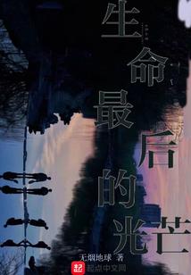 成武会计师培训报价