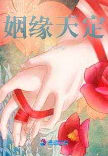 购买罗纹布料会计分录