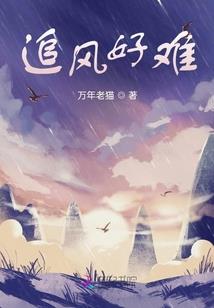 大浪企业财税代理