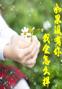 东奥会计和加盐哪个好