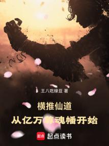 2008年财政盈余