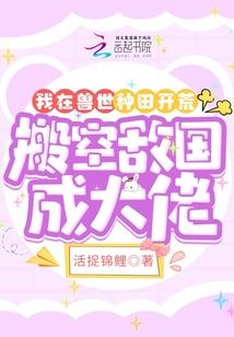 蓬江财税公司价格