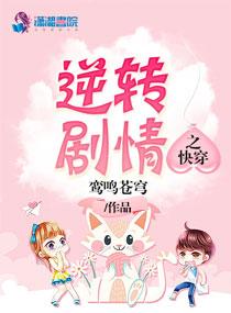 财税筹划总监