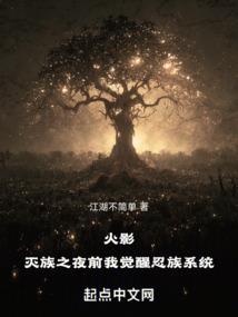 财政认定报告