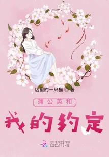 涉外会计什么时候报考