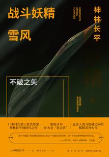 税务会计师国外研究文献