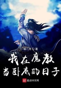 河南财税记账