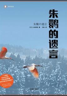 郑州中级会计代理报名