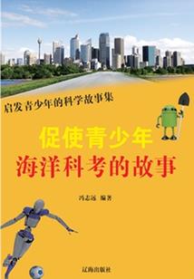 资金总会计