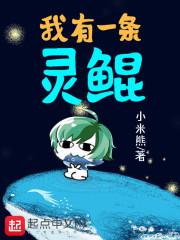 政府会计事业编考试内容