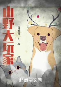 中级会计职称证丢失