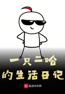 中专会计能考到几级证书