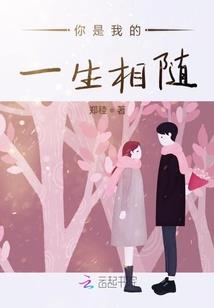 高校总会计师角色