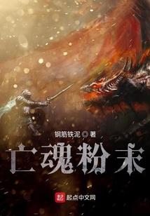 高级会计考试种类有哪些