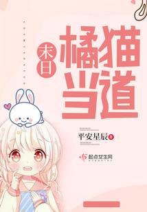 报了初级会计怎么复习