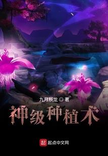 中级会计师在成都买房