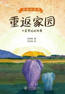 合肥会计大专考试考什么