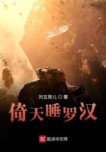 sap会计凭证查询