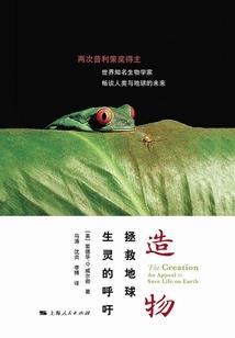 登封会计考试时间
