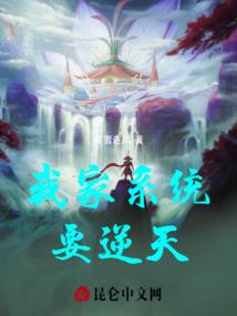 cpa审计冲刺计划