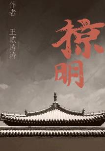 平原新区财政
