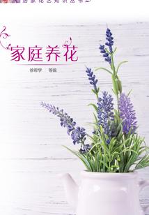山西金魔方财税
