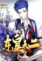 cpa会计考
