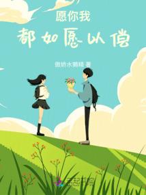 8.29初级会计考题