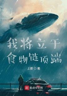拿到中级会计的年龄