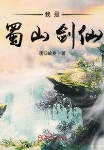 注册会计师会计计划表
