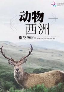 非财政补助资金