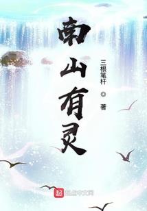 龙华区财税服务价格表