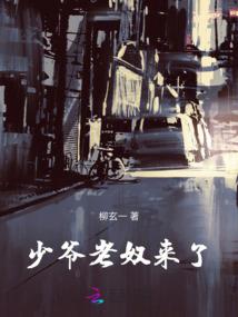 红伞财税C