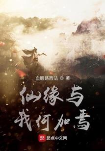 初级会计还是投顾会计