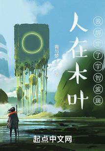 cpa报考条件大四