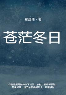 厂房补贴会计分录