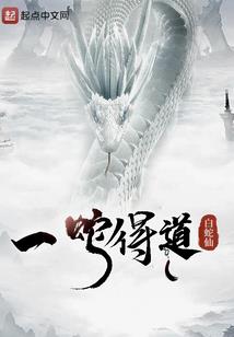 红古区财税服务价钱
