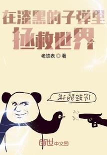 智晨财税